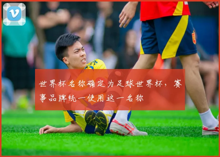 世界杯名称确定为足球世界杯，赛事品牌统一使用这一名称
