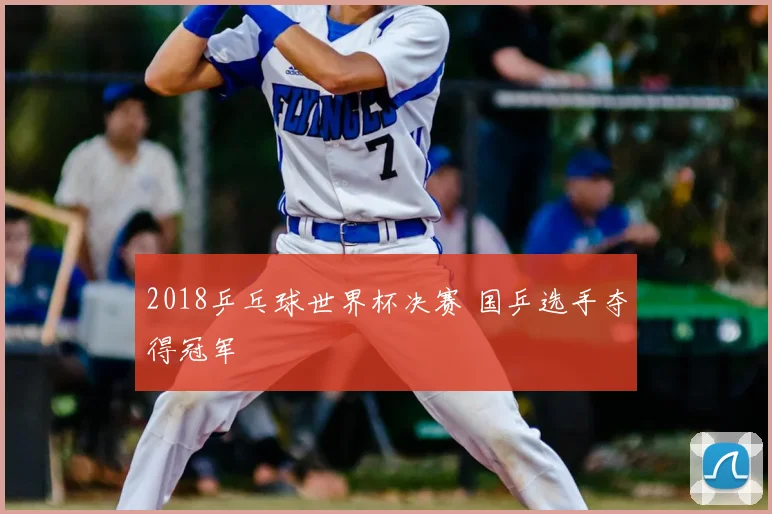 2018乒乓球世界杯决赛 国乒选手夺得冠军