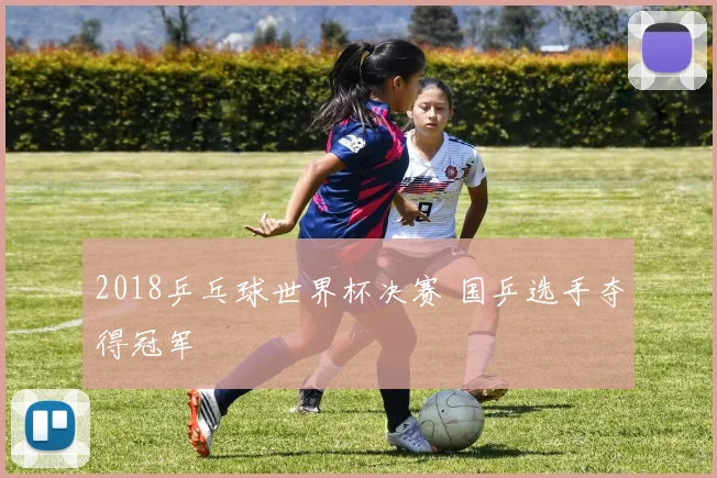 2018乒乓球世界杯决赛 国乒选手夺得冠军