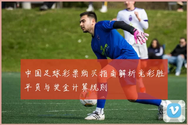 中国足球彩票购买指南解析竞彩胜平负与奖金计算规则