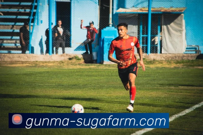 体育直播服务